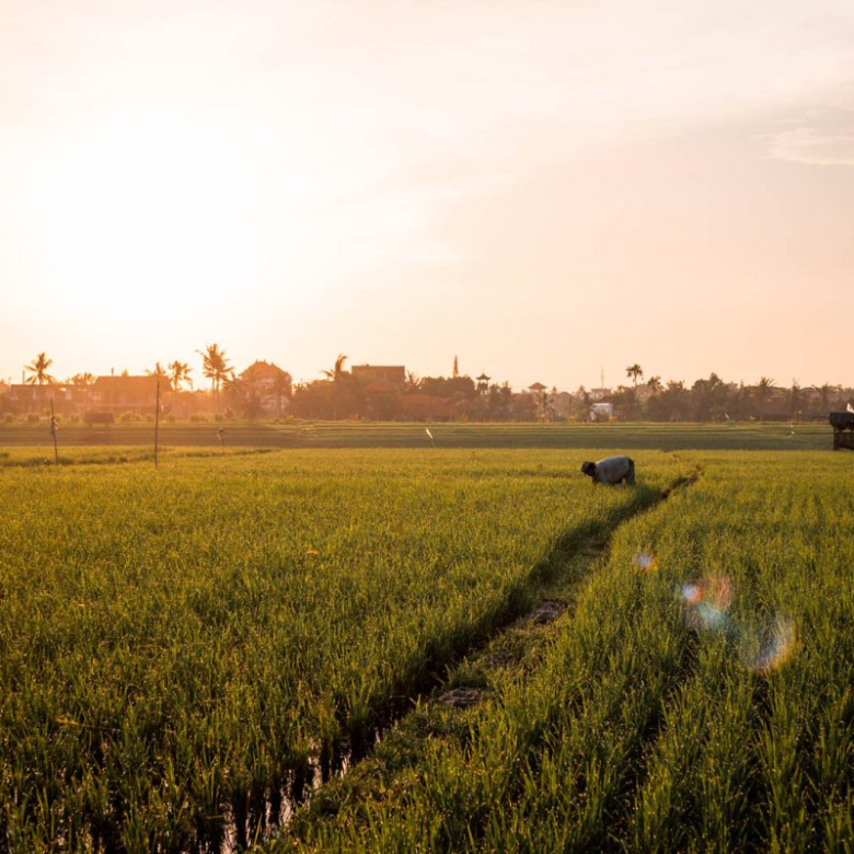 How to check land zoning in Bali